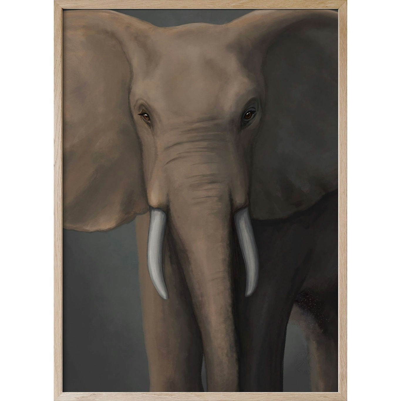 Afrikanska Skogselefanten Poster, 50x70 cm