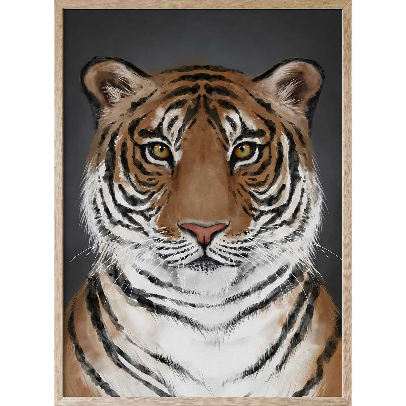 Tigern Poster, 30x40 cm
