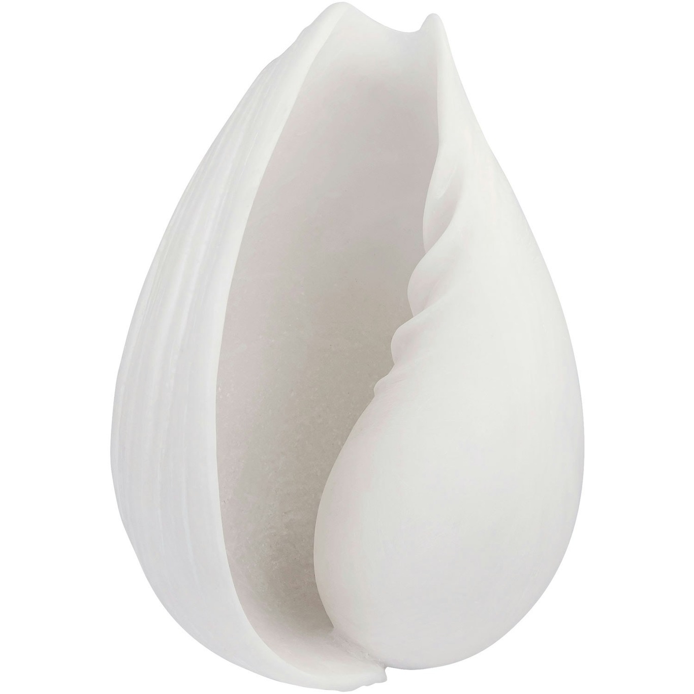 CONCH shell Dekoration Off-white, Liten