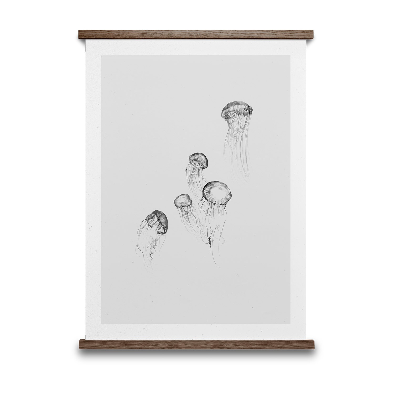 Jellyfish Poster 50x70 cm
