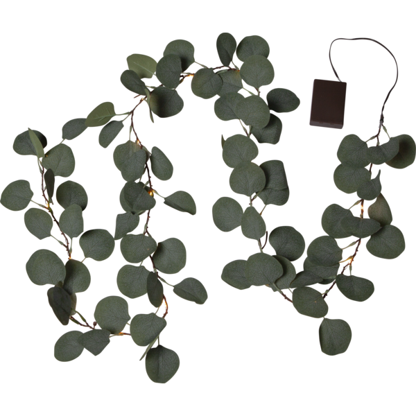 Eucalyptus Girlang